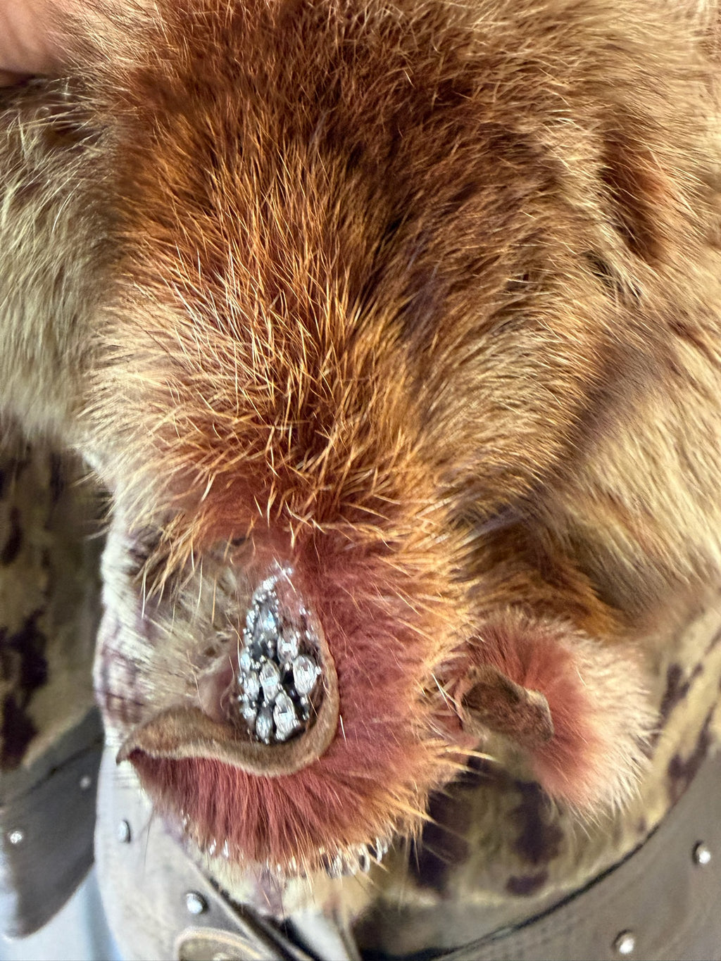 Earthy gold spotted fur cropped jacket with oversized thick fur lapel