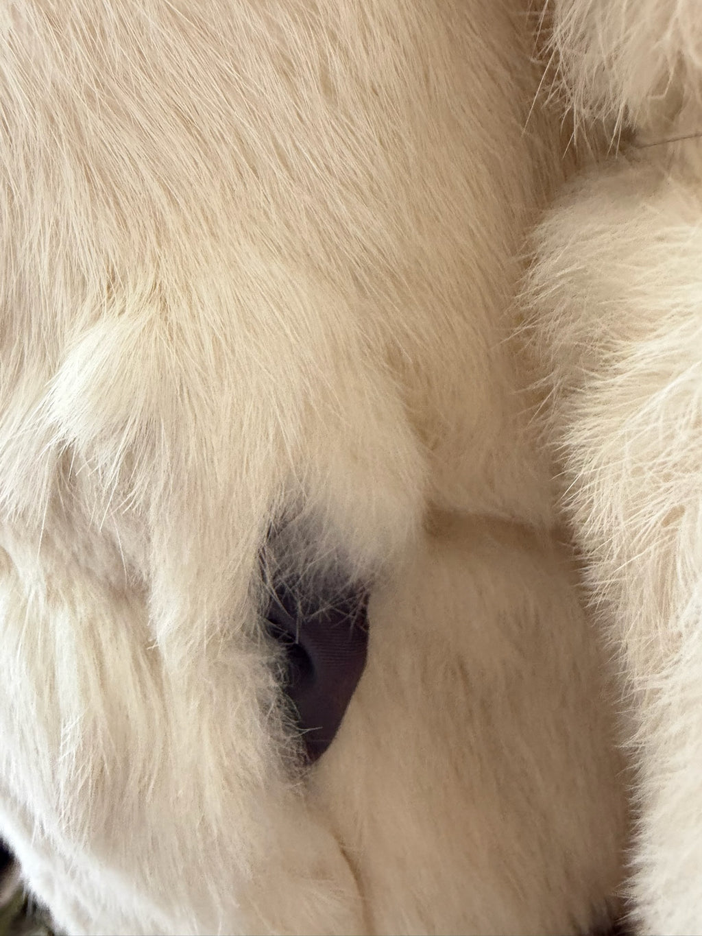 Cream-white horizontally-seamed fur jacket